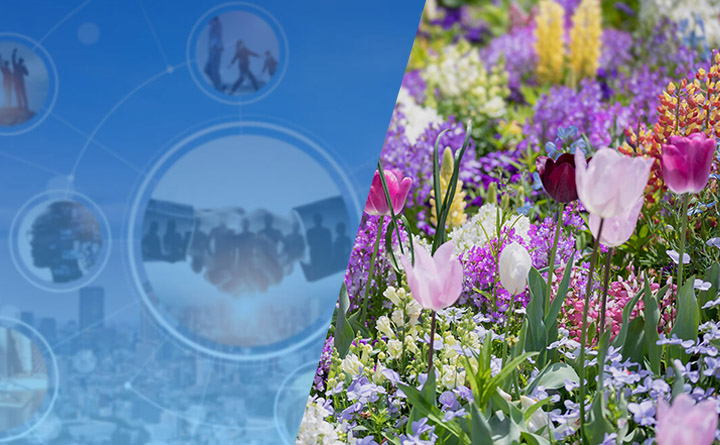 International Exposition Support